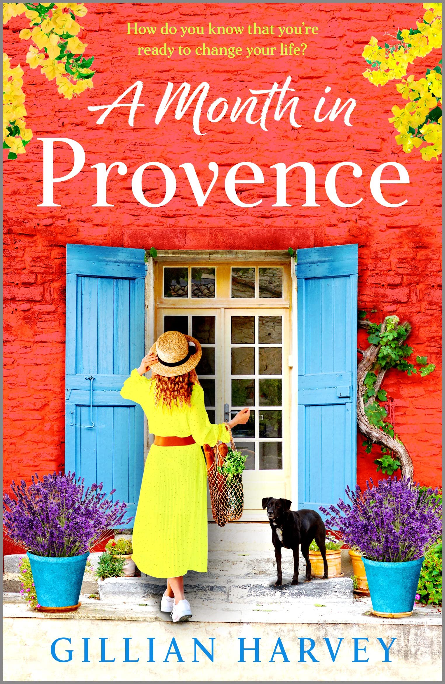 A Month in Provence: A BRAND NEW escapist feel-good romance from TOP 10 BESTSELLER Gillian Harvey for 2023 Cover